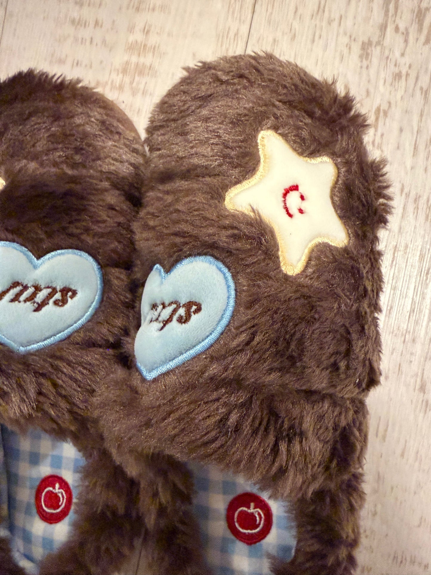 Dream Star Slippers